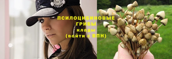 шишки Абинск