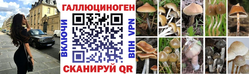 OMG зеркало  Электросталь  Галлюциногенные грибы ЛСД 