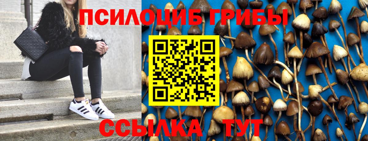 Псилоцибиновые грибы Cubensis Электросталь