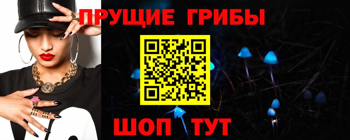 где найти наркотики  Галлюциногенные грибы прущие грибы  Вход с VPN  Псилоцибиновые грибы Psilocybe  Электросталь 